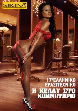 Sirina 17o erasitexniko