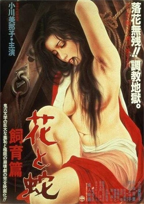 HANA-198
