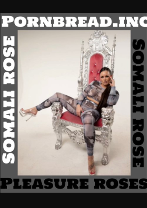 Pleasure Roses